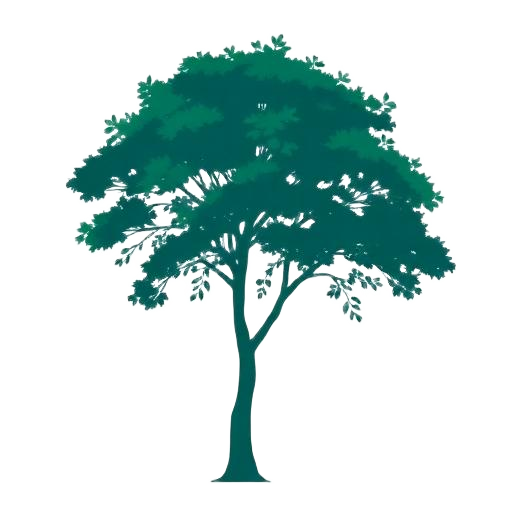Goma tree illustration