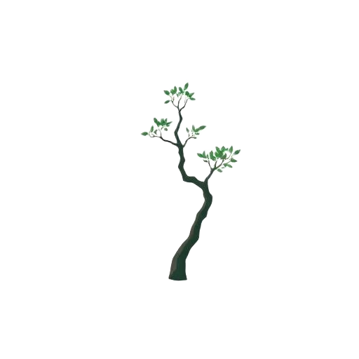 Kewiña tree illustration