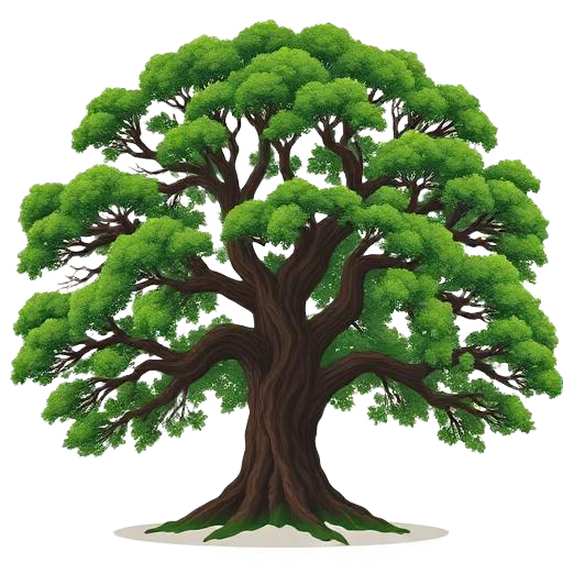 Mara tree illustration