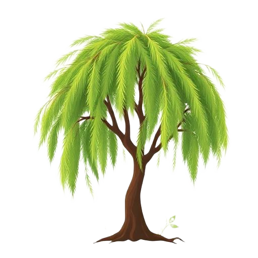 Molle tree illustration