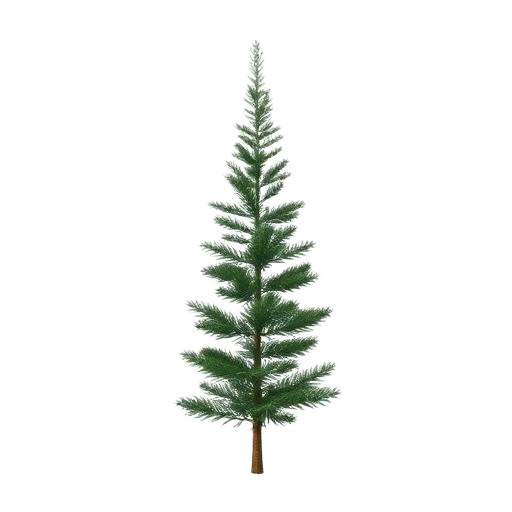 Pino de Monte tree illustration