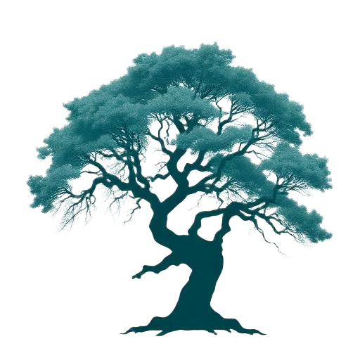 Quishuara tree illustration