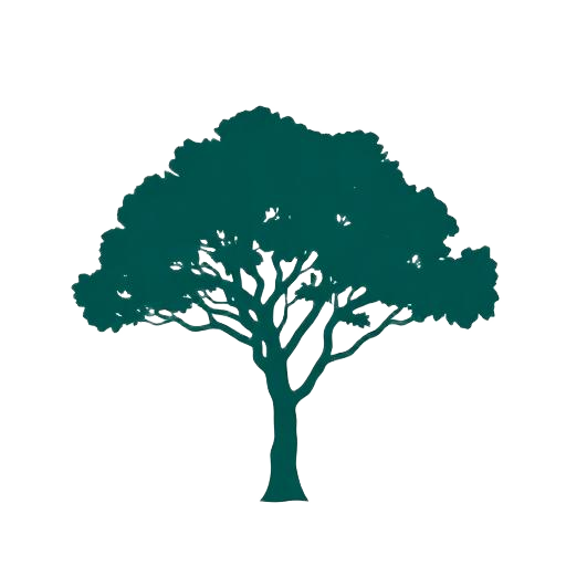 Soto tree illustration